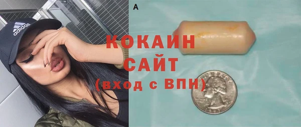 крисы Инсар