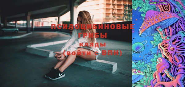 прущие грибы Богородск