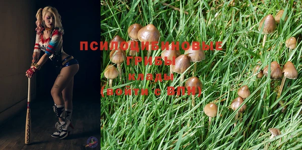 круглые Богданович
