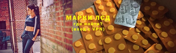 прущие грибы Богородск