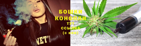 прущие грибы Богородск