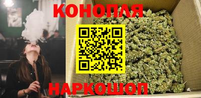 гидропоника Нальчик