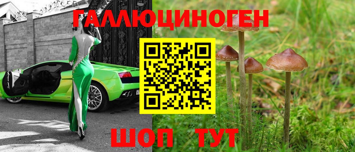 Псилоцибиновые грибы прущие грибы Реж