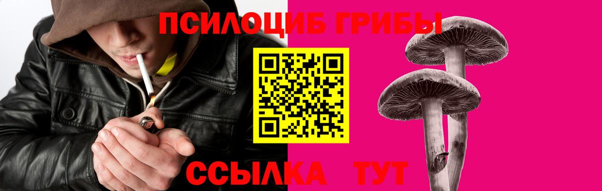 где можно купить   Псилоцибиновые грибы Psilocybine cubensis  Вход с VPN  Реж 